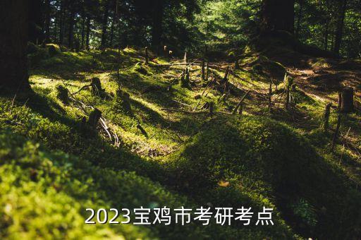 2023宝鸡市考研考点