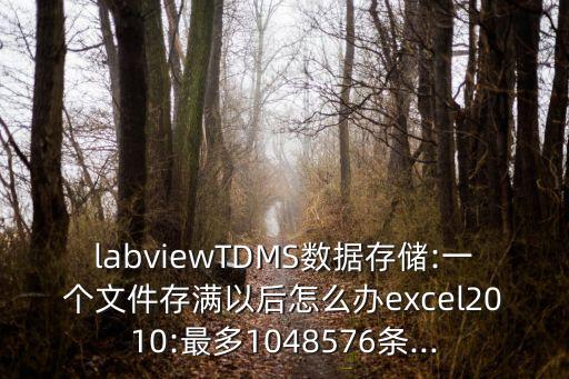 labviewtdms数据存储:一个文件存满以后怎么办excel2010:最多1048576条...