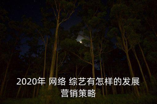 2020年 网络 综艺有怎样的发展营销策略