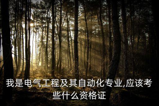 我是电气工程及其自动化专业,应该考些什么资格证