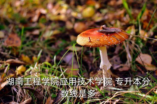 湖南工程学院应用技术学院 专升本分数线是多