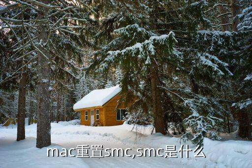 mac重置smc,smc是什么