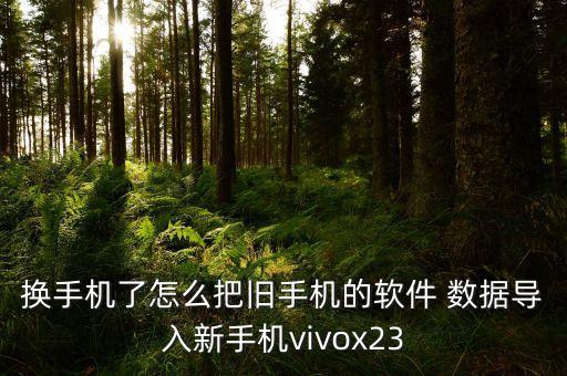 换手机了怎么把旧手机的软件 数据导入新手机vivox23