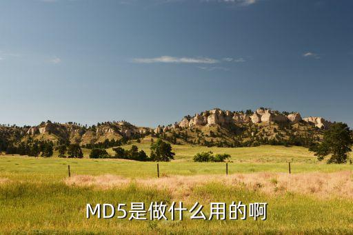 md5是做什么用的啊