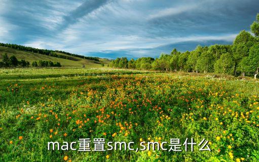 mac重置smc,smc是什么