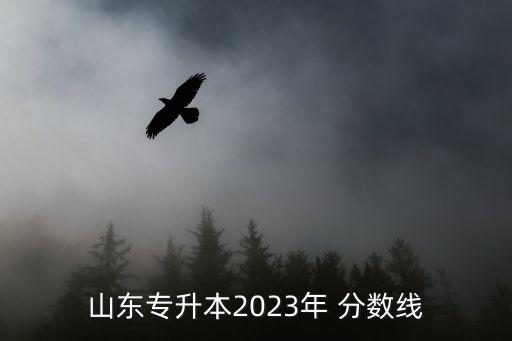 山东专升本2023年 分数线