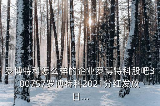 罗博特科怎么样的企业罗博特科股吧300757罗博特科2021分红发放日...