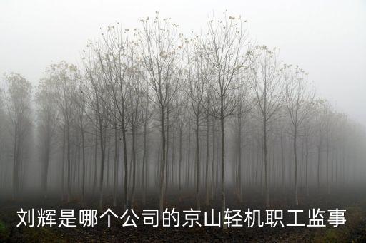 刘辉是哪个公司的京山轻机职工监事