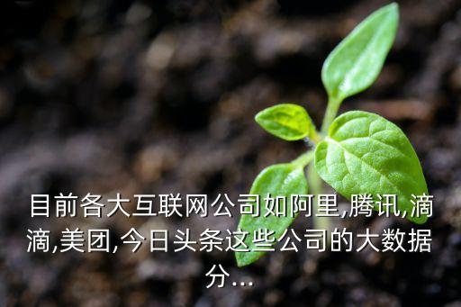 互联网的数据分析平台,互联网大数据采集与分析平台有哪些?