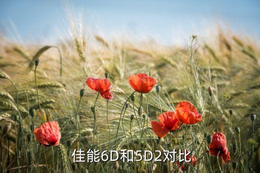  佳能6d和5d2对比