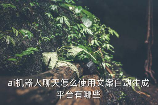 ai机器人聊天怎么使用文案自动生成平台有哪些