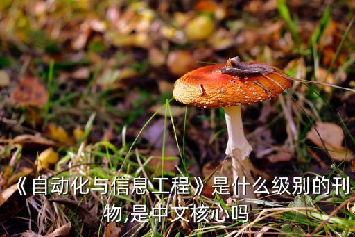 《自动化与信息工程》是什么级别的刊物,是中文核心吗