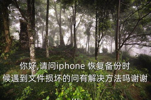 你好,请问iphone 恢复备份时候遇到文件损坏的问有解决方法吗谢谢...