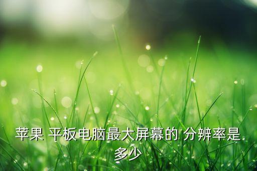 苹果 平板电脑最大屏幕的 分辨率是多少