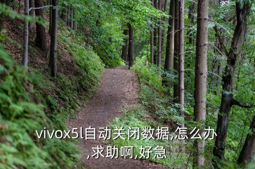 vivox5l自动关闭数据,怎么办,求助啊,好急