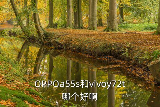 oppoa55s和vivoy72t哪个好啊