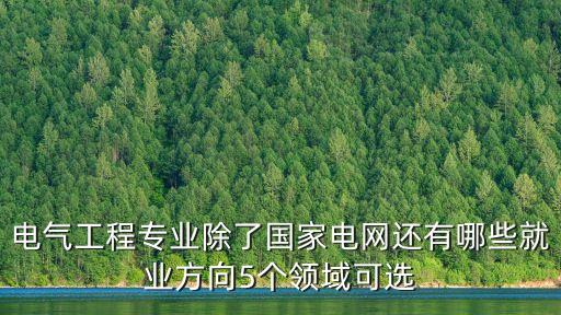 电气工程专业除了国家电网还有哪些就业方向5个领域可选