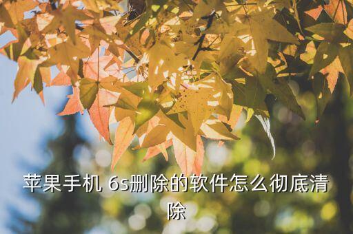 苹果手机 6s删除的软件怎么彻底清除