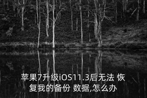 苹果7升级ios11.3后无法 恢复我的备份 数据,怎么办