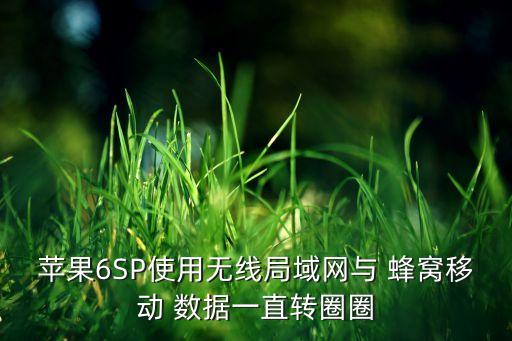 苹果6sp使用无线局域网与 蜂窝移动 数据一直转圈圈