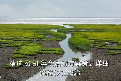 精选 公司 年会活动方案策划详细 流程(大全8篇