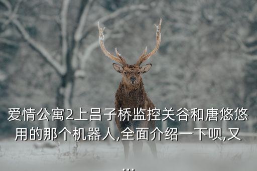 爱情公寓2上吕子桥监控关谷和唐悠悠用的那个机器人,全面介绍一下呗,又...