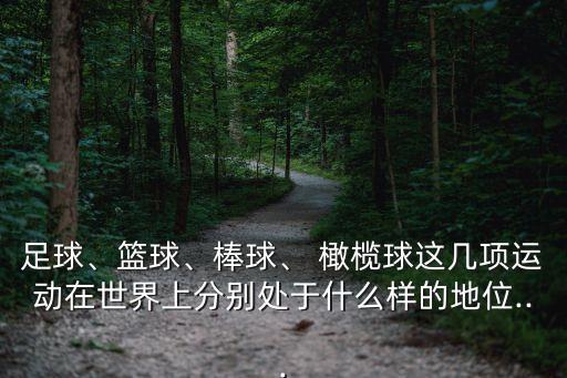 足球、篮球、棒球、 橄榄球这几项运动在世界上分别处于什么样的地位...