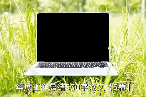 年度工作总结500字范文【5篇】