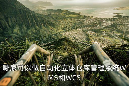 哪家可以做自动化立体仓库管理系统wms和wcs