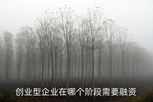 创业型企业在哪个阶段需要融资