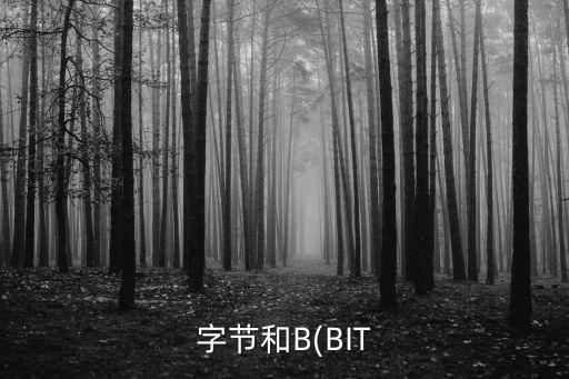 字节和b(bit