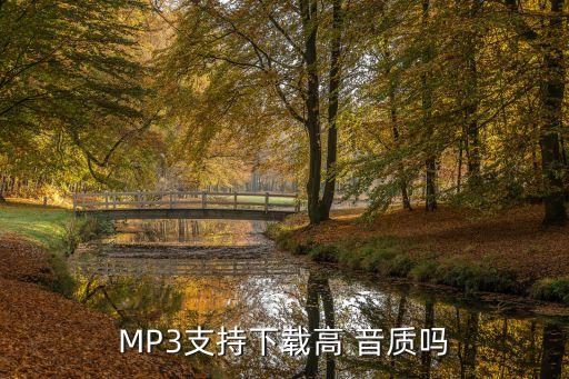 mp3支持下载高 音质吗