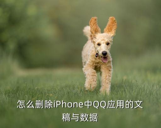 怎么删除iphone中qq应用的文稿与数据