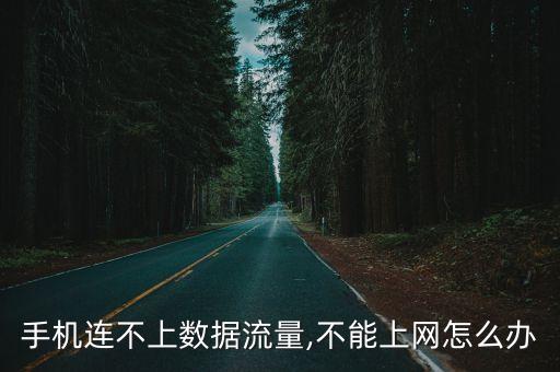 手机连不上数据流量,不能上网怎么办