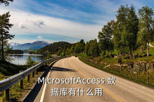 microsoftaccess 数据库有什么用