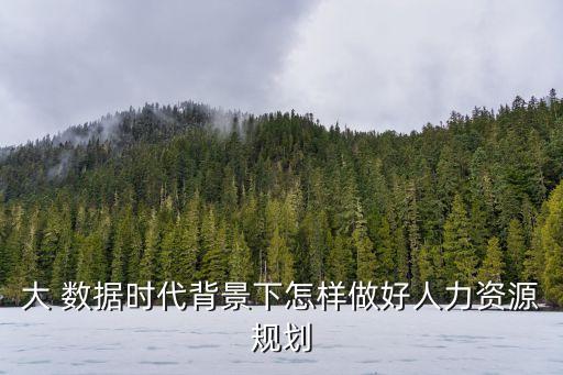 大 数据时代背景下怎样做好人力资源规划