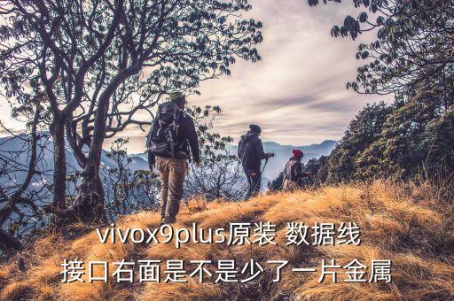  vivox9plus原装 数据线接口右面是不是少了一片金属