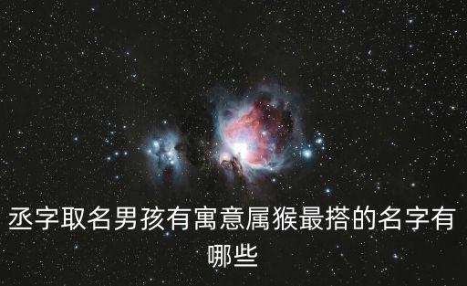 丞字取名男孩有寓意属猴最搭的名字有哪些