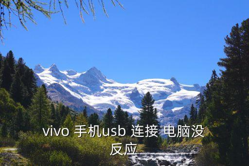 vivo 手机usb 连接 电脑没反应