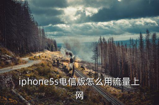 iphone5s电信版怎么用流量上网