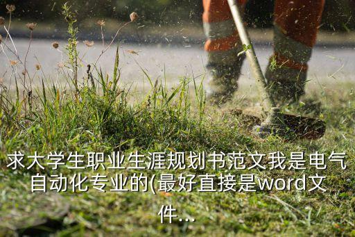 求大学生职业生涯规划书范文我是电气自动化专业的(最好直接是word文件...