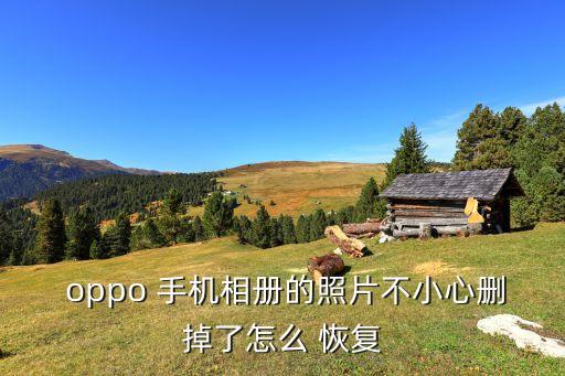  oppo 手机相册的照片不小心删掉了怎么 恢复