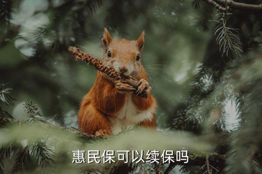 惠民保可以续保吗