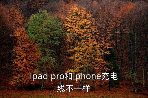 ipad pro和iphone充电线不一样