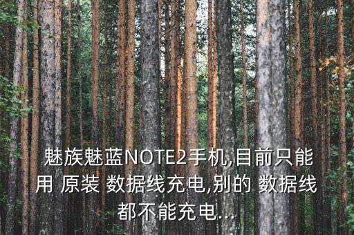  魅族魅蓝note2手机,目前只能用 原装 数据线充电,别的 数据线都不能充电...