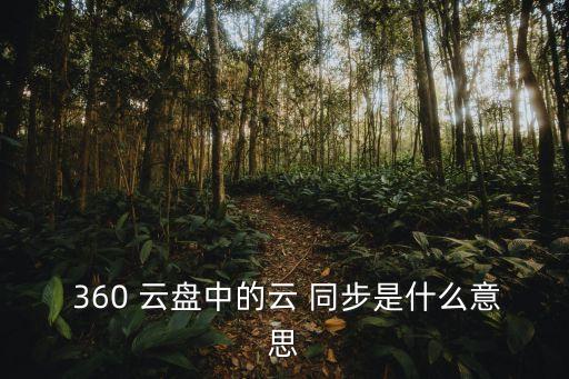  360 云盘中的云 同步是什么意思