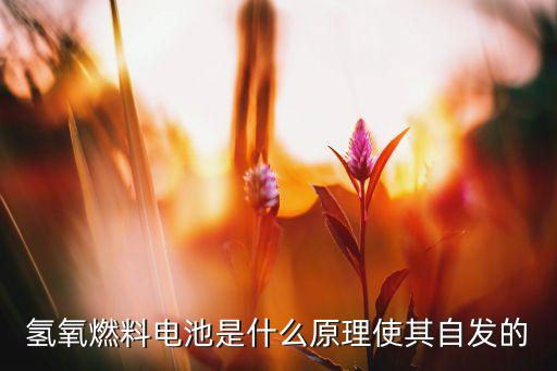 氢氧电池,氢氧燃料电池的正负极各是什么反应式?