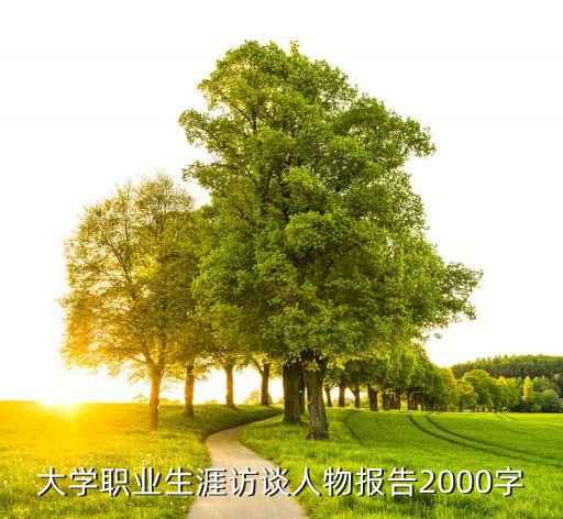 大学职业生涯访谈人物报告2000字