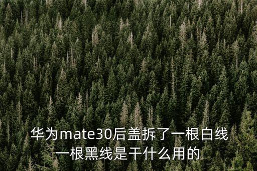  华为mate30后盖拆了一根白线一根黑线是干什么用的