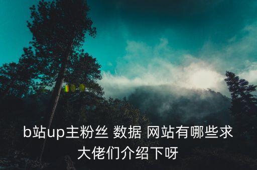 b站up主粉丝 数据 网站有哪些求大佬们介绍下呀